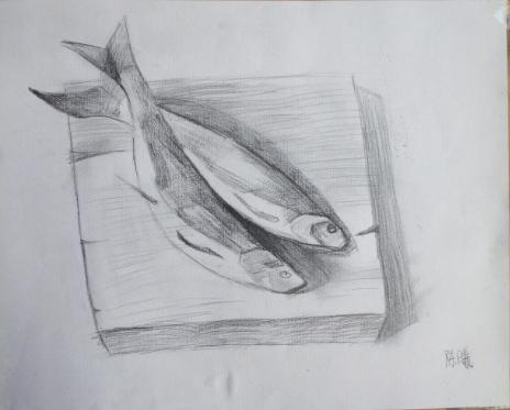 兩條小魚  陳曦