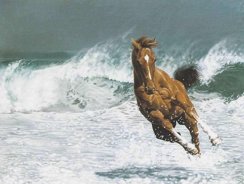 駿馬奔馳