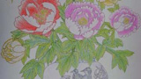 花瓶中的牡丹