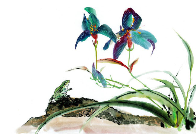 青蛙與蘭花
