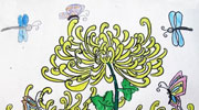 菊花