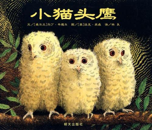 兒童睡前故事  貓頭鷹寶寶