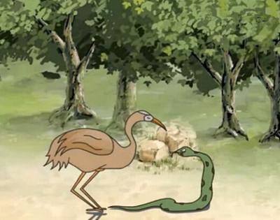 鴆鳥和毒蛇