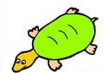 聰明的甲魚