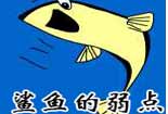 鯊魚的弱點(diǎn)