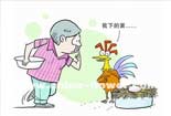 公雞占窩