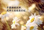 12則生活哲理故事