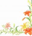 初中手抄報(bào)版面設(shè)計(jì)圖大全，好看的花邊設(shè)計(jì)