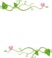 薔薇花手抄報(bào)花邊素材