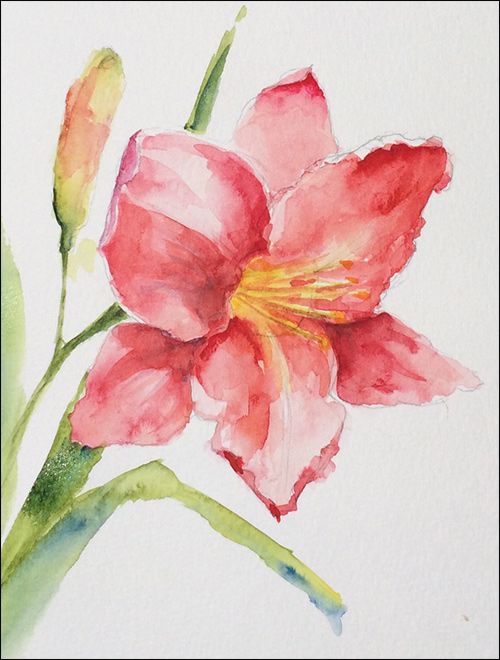 水仙花手抄報插圖
