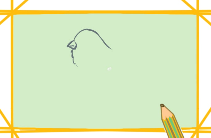 漂亮的鳥<a href=http://www.inspiredelm.com/jianbihua/ target=_blank class=infotextkey>簡筆畫</a>圖片怎么畫