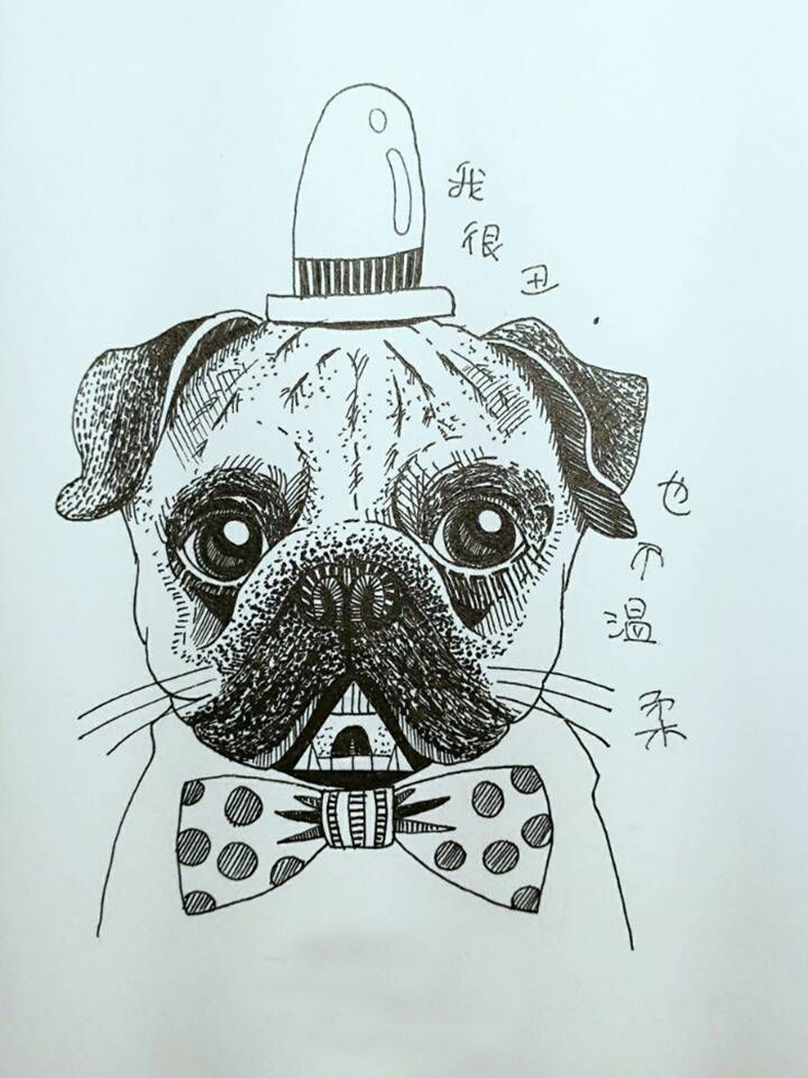 丑萌巴哥犬簡筆畫圖片