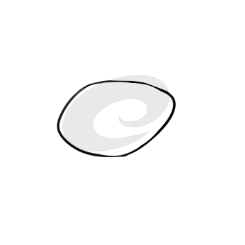 大河里的魚簡筆要怎么畫