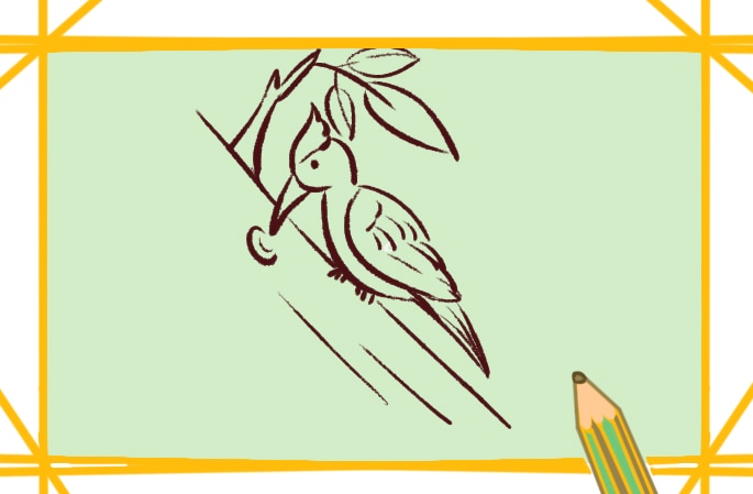 好看的啄木鳥<a href=http://www.inspiredelm.com/jianbihua/ target=_blank class=infotextkey>簡筆畫</a>圖片怎么畫