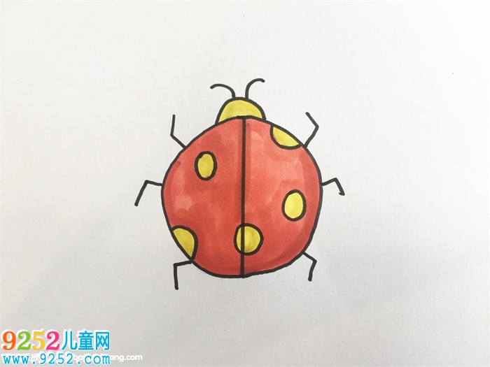 昆蟲怎么畫