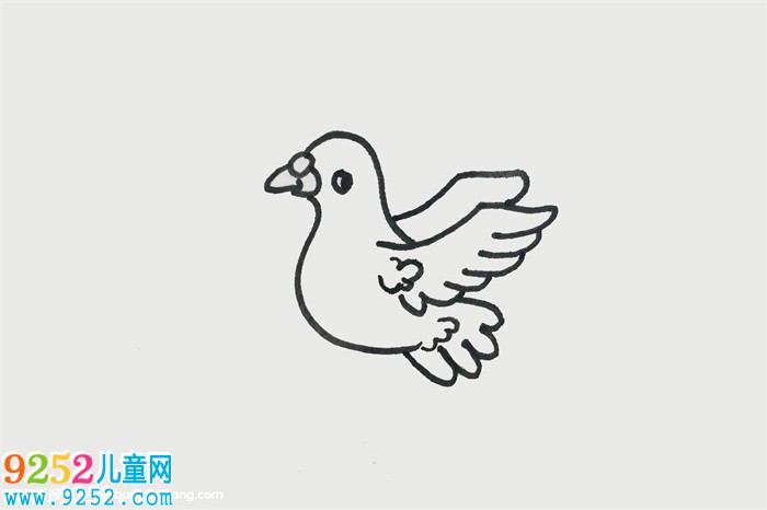5歲畫簡單鴿子