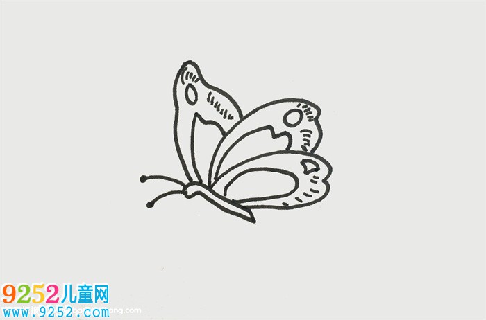 一筆一畫的蝴蝶畫法