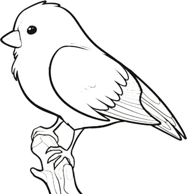 動物麻雀簡筆