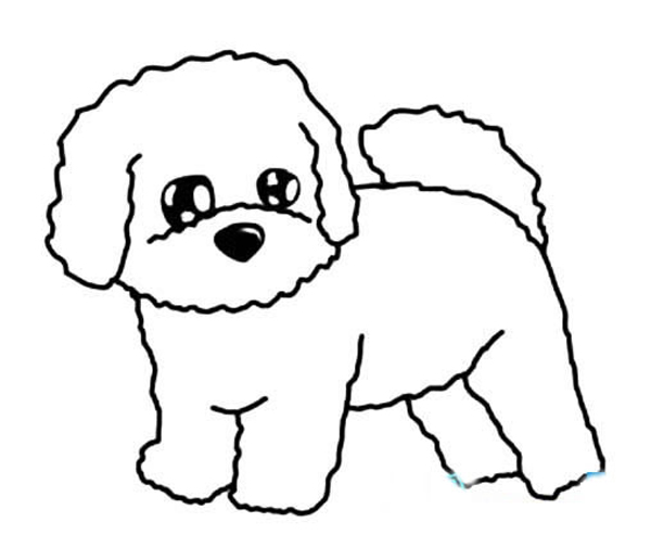 可愛(ài)的小狗簡(jiǎn)筆畫(huà)，比熊犬簡(jiǎn)筆畫(huà)