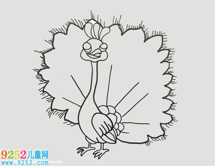 怎么畫孔雀開屏