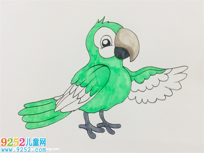 如何畫(huà)鸚鵡<a href=http://www.inspiredelm.com/jianbihua/ target=_blank class=infotextkey>簡(jiǎn)筆畫(huà)</a>步驟