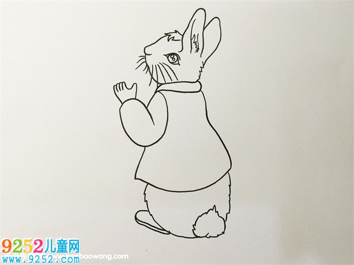 彼得兔<a href=http://www.inspiredelm.com/jianbihua/ target=_blank class=infotextkey>簡筆畫</a>教程