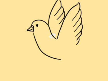 白色的和平鴿<a href=http://www.inspiredelm.com/jianbihua/ target=_blank class=infotextkey>簡筆畫</a>要怎么畫