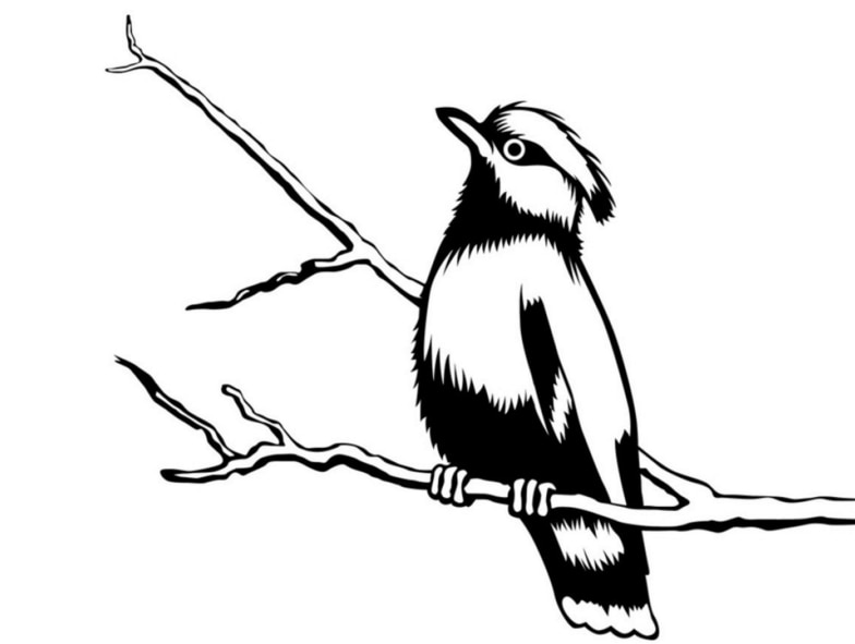 麻雀兒童簡(jiǎn)筆