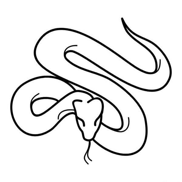 爬行的蛇<a href=http://www.inspiredelm.com/jianbihua/ target=_blank class=infotextkey>簡(jiǎn)筆畫(huà)</a>圖片_蛇兒童繪畫(huà)作品圖集