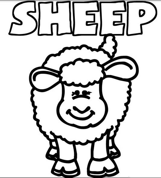 小綿羊動物簡筆