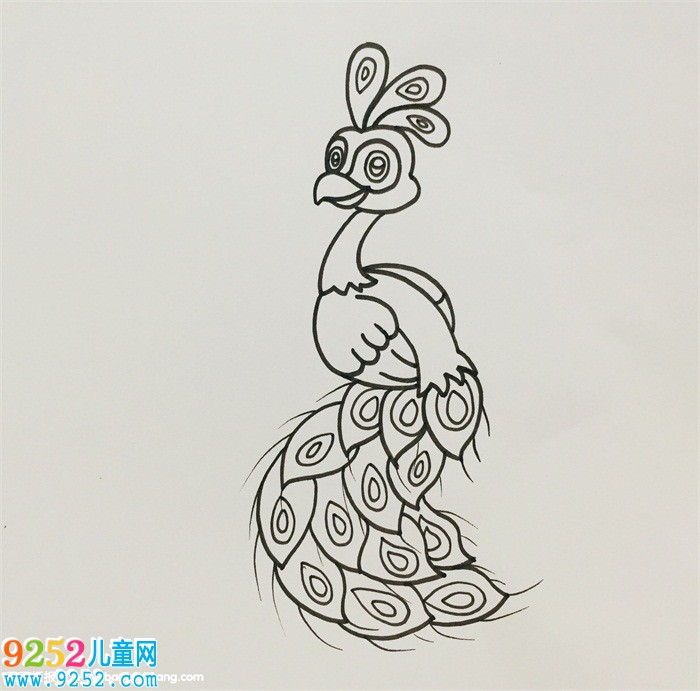 畫(huà)孔雀怎么畫(huà)最漂亮的