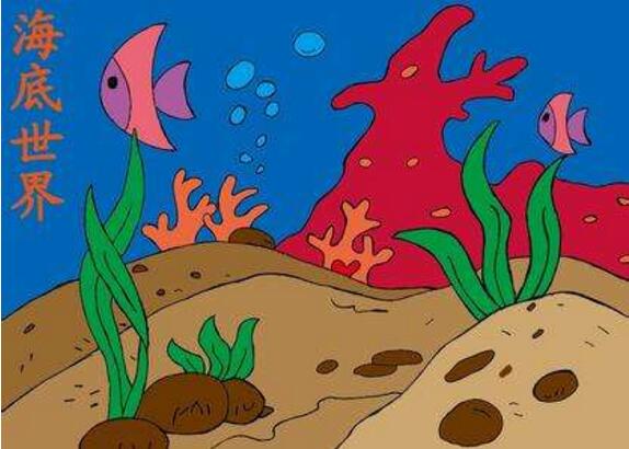 海底世界簡筆畫，海洋動物簡筆畫圖片
