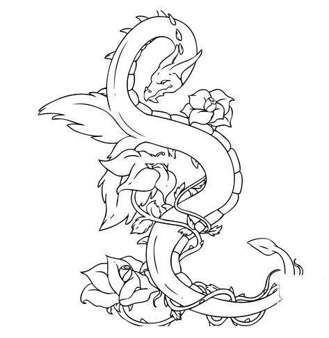 霸氣的龍<a href=http://www.inspiredelm.com/jianbihua/ target=_blank class=infotextkey>簡筆畫</a>圖片_龍兒童繪畫作品圖集