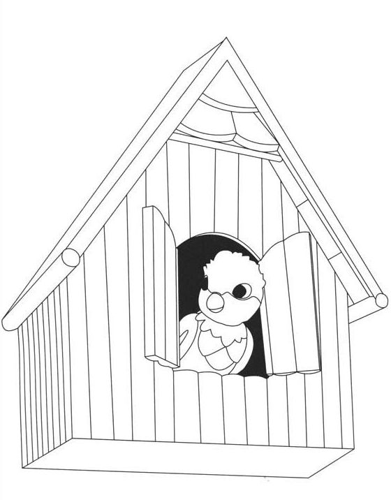 小鸚鵡簡筆畫