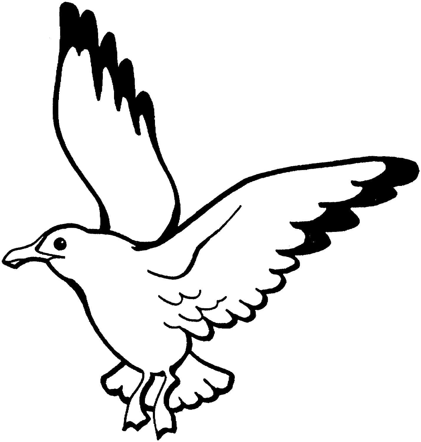 海鷗動(dòng)物簡(jiǎn)筆