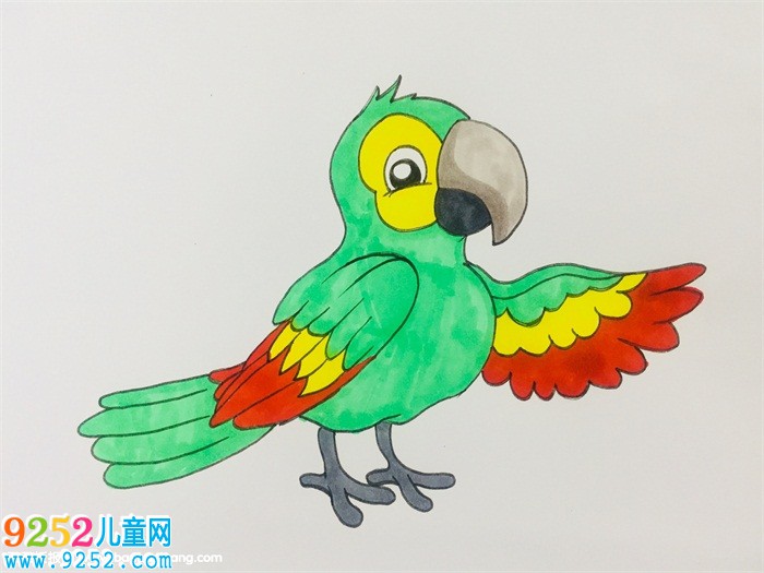 如何畫(huà)鸚鵡<a href=http://www.inspiredelm.com/jianbihua/ target=_blank class=infotextkey>簡(jiǎn)筆畫(huà)</a>步驟
