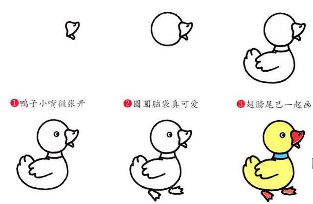 可愛小鴨簡筆畫，小鴨簡筆畫步驟