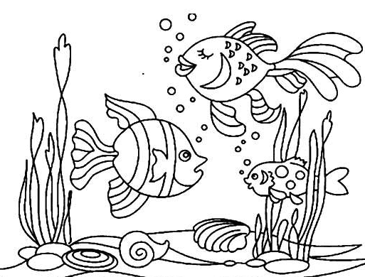 海底世界的動(dòng)物簡筆