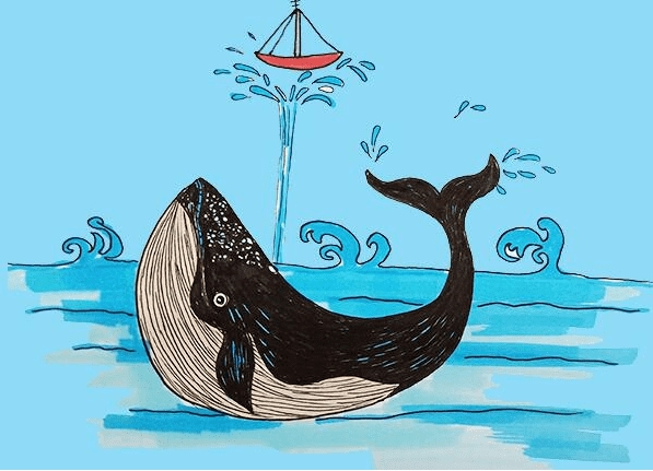 彩色大鯨魚(yú)簡(jiǎn)筆畫(huà)步驟