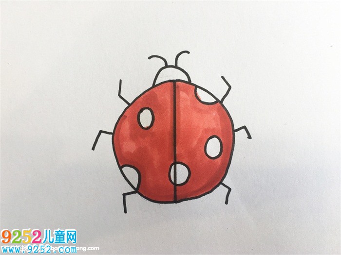 昆蟲怎么畫