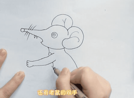 可愛的老鼠簡筆步驟