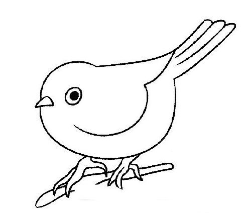 畫眉鳥簡筆畫圖片