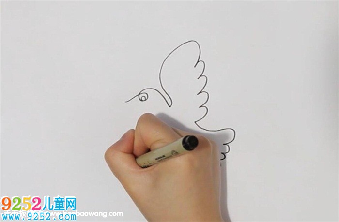 一筆畫飛鳥