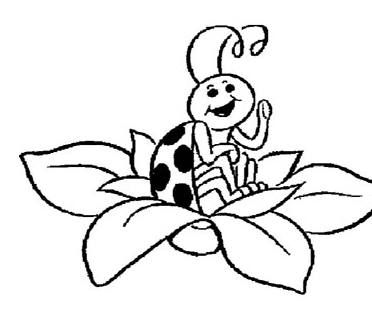 七星瓢蟲簡(jiǎn)筆