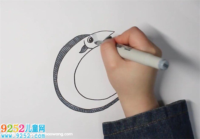 帶魚<a href=http://www.inspiredelm.com/jianbihua/ target=_blank class=infotextkey>簡筆畫</a>