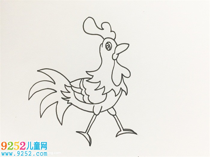 艷麗的大公雞畫
