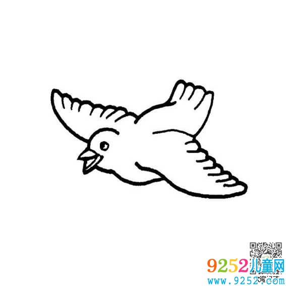 可愛的小鳥簡筆