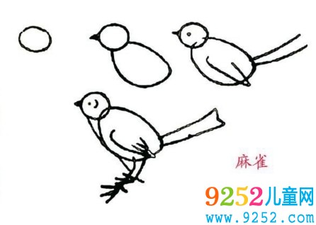 7種小麻雀<a href=http://www.inspiredelm.com/jianbihua/ target=_blank class=infotextkey>簡(jiǎn)筆畫</a>畫法