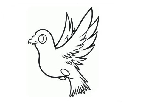 和平鴿<a href=http://www.inspiredelm.com/jianbihua/ target=_blank class=infotextkey>簡(jiǎn)筆畫</a>單步驟