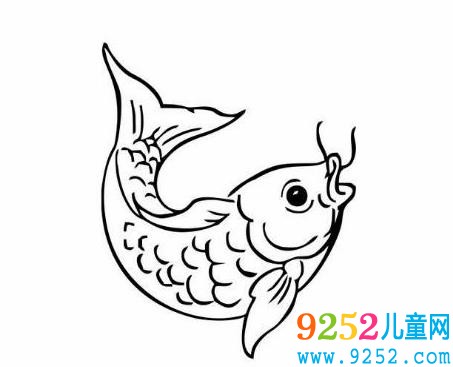 鯉魚動物簡筆
